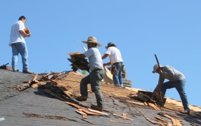 Your Roof is Your Primary Defense Against the Elements